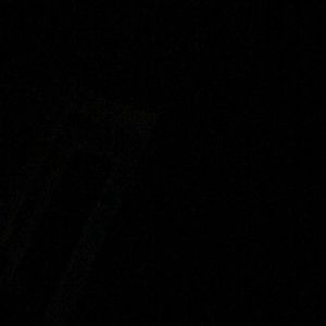 Meet your Posher, Trevor